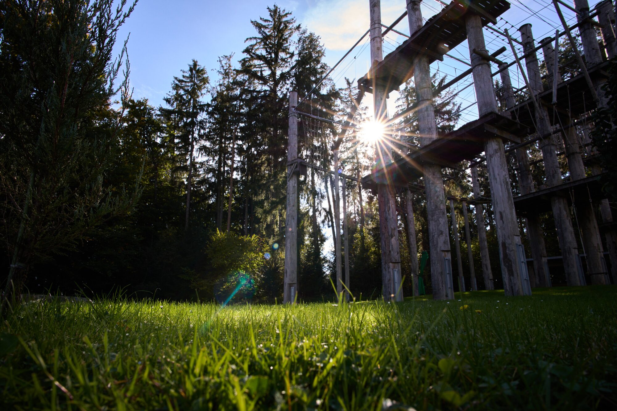 Hochseilgarten im Park der Klinik Wollmarshöhe
